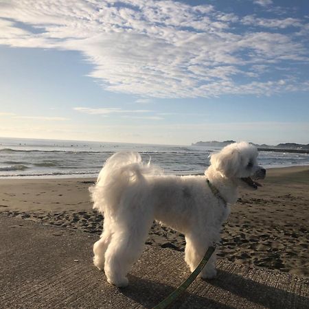 Ichinomiya Green Park & Residence - Vacation Stay 05131V 외부 사진